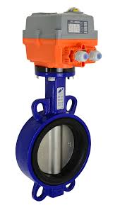 Electric Valve Actuator